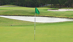Royal Pines golf